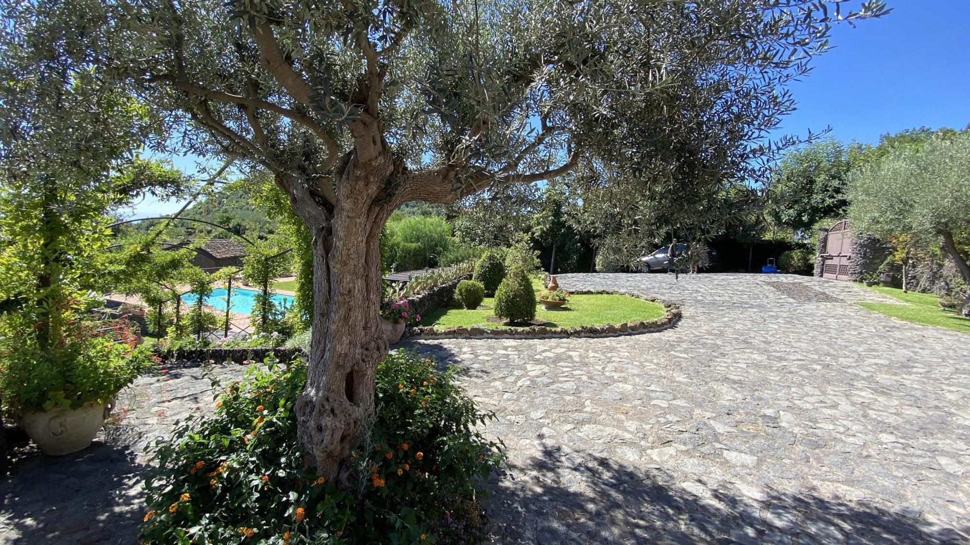 Il Palmento Dell'Etna Villa Trecastagni Bagian luar foto